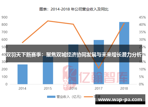 双羽天下新赛季：聚焦双城经济协同发展与未来增长潜力分析