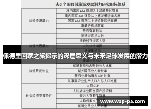 佩德里回家之旅揭示的深层意义与未来足球发展的潜力