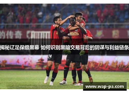 揭秘辽足保级黑幕 如何识别黑暗交易背后的阴谋与利益链条