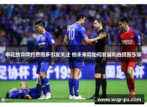 申花放弃续约费南多引发关注 他未来将如何发展和选择新东家