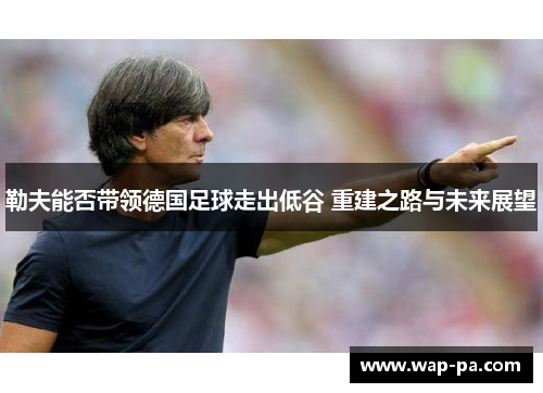 勒夫能否带领德国足球走出低谷 重建之路与未来展望