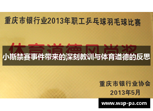小斯禁赛事件带来的深刻教训与体育道德的反思