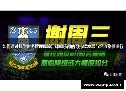 如何通过科学财务管理保障足球俱乐部的可持续发展与经济稳健运行 如何通过科学财务管理保障足球俱乐部的可持续发展与经济稳健运行