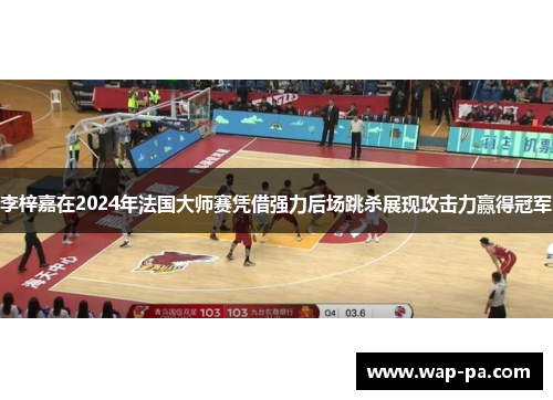 李梓嘉在2024年法国大师赛凭借强力后场跳杀展现攻击力赢得冠军 李梓嘉在2024年法国大师赛凭借强力后场跳杀展现攻击力赢得冠军