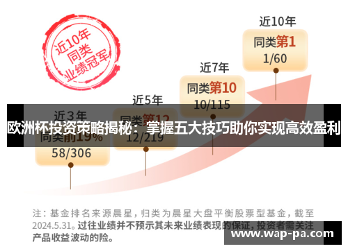欧洲杯投资策略揭秘：掌握五大技巧助你实现高效盈利