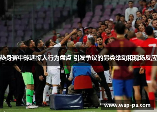 热身赛中球迷惊人行为盘点 引发争议的另类举动和现场反应