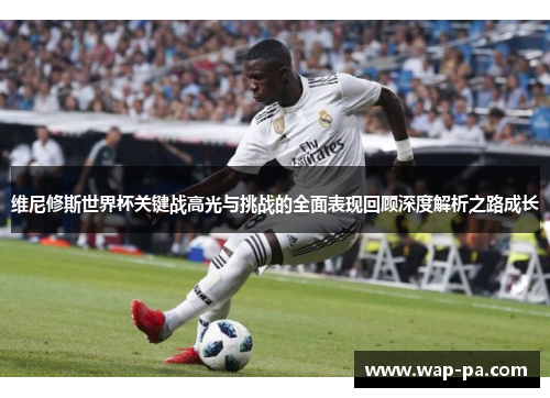 维尼修斯世界杯关键战高光与挑战的全面表现回顾深度解析之路成长