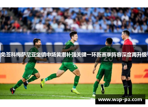 免签科梅萨尼亚坐镇中场黄潜补强关键一环新赛季阵容深度再升级