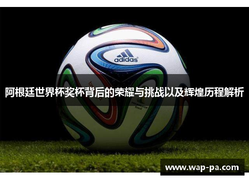 阿根廷世界杯奖杯背后的荣耀与挑战以及辉煌历程解析