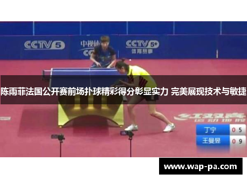 陈雨菲法国公开赛前场扑球精彩得分彰显实力 完美展现技术与敏捷