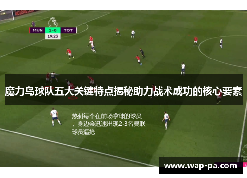 魔力鸟球队五大关键特点揭秘助力战术成功的核心要素