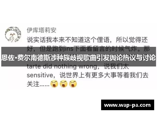 恩佐·费尔南德斯涉种族歧视歌曲引发舆论热议与讨论